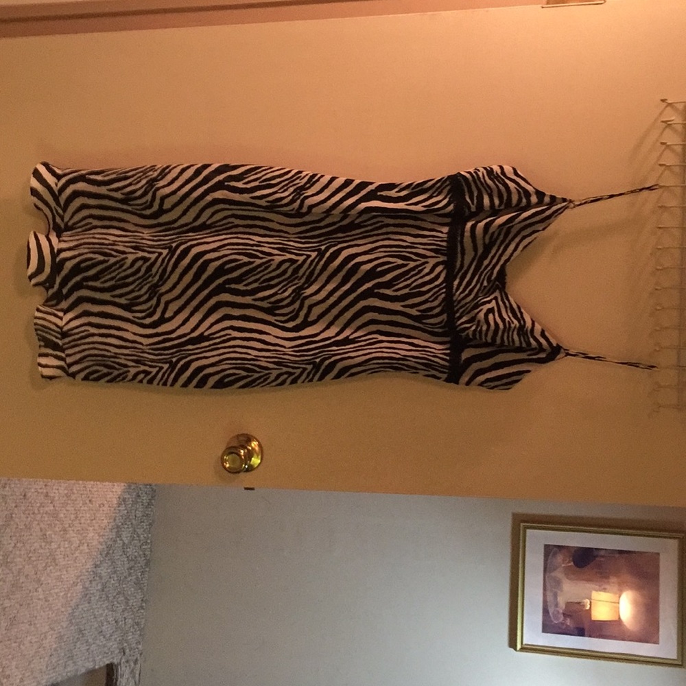Express zebra print dress